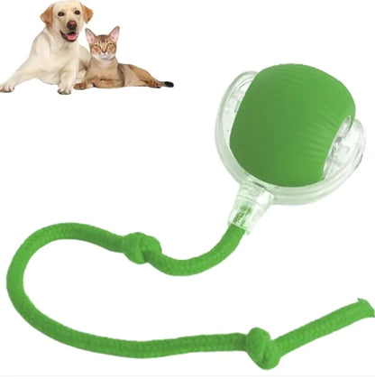 Smart Rolling Pet Ball